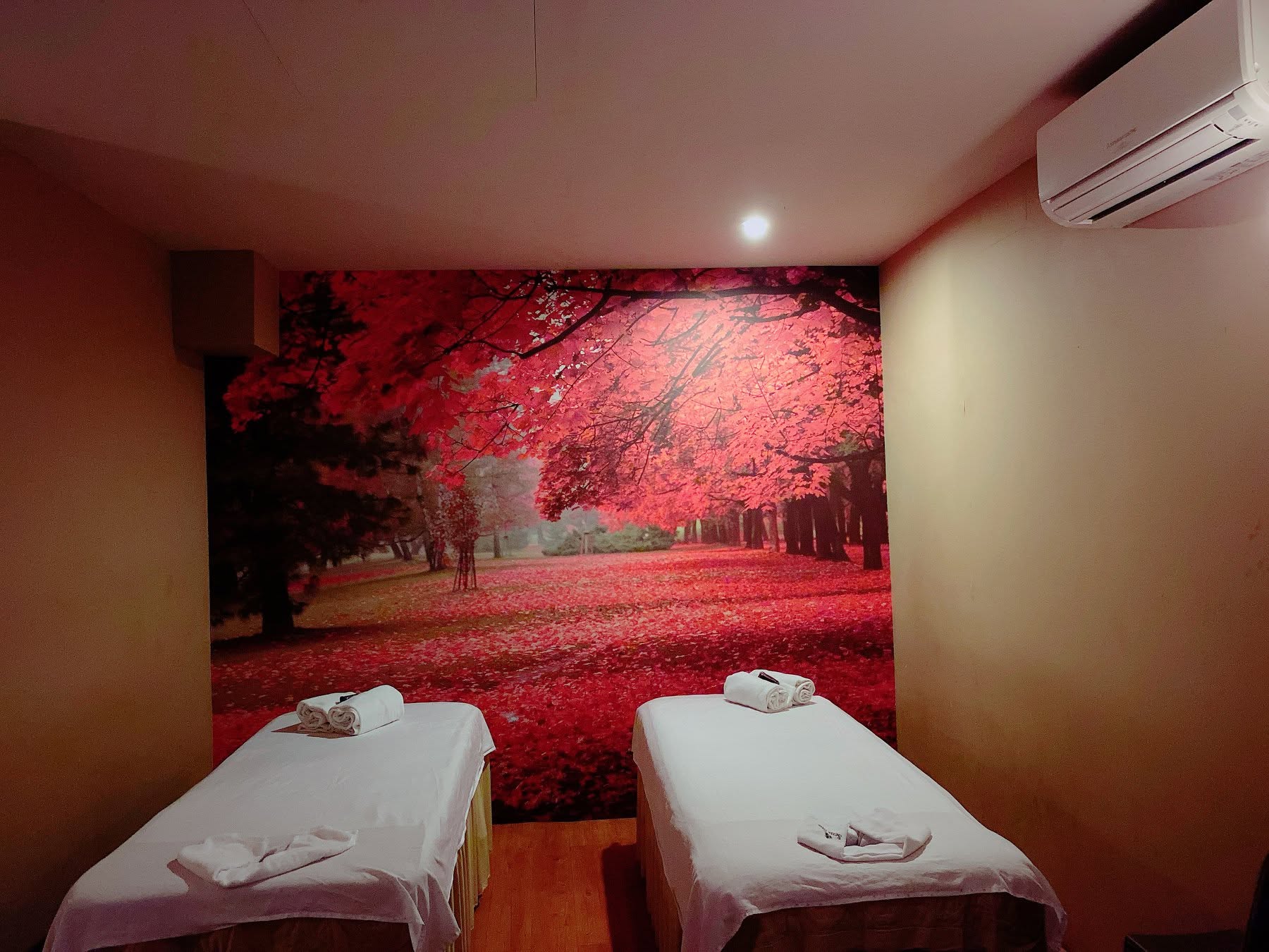 Couple treatment room with two massage beds and a floral wall mural